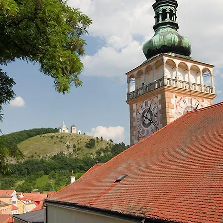 Kiwi Mikulov