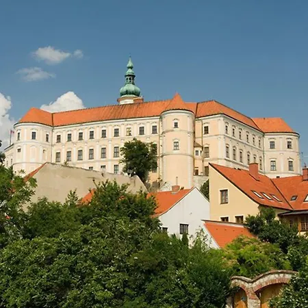 Kiwi מיקולוב