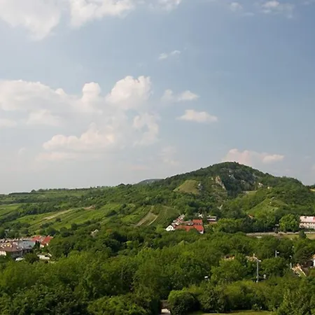 Kiwi 3* Mikulov