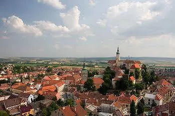 Kiwi Mikulov
